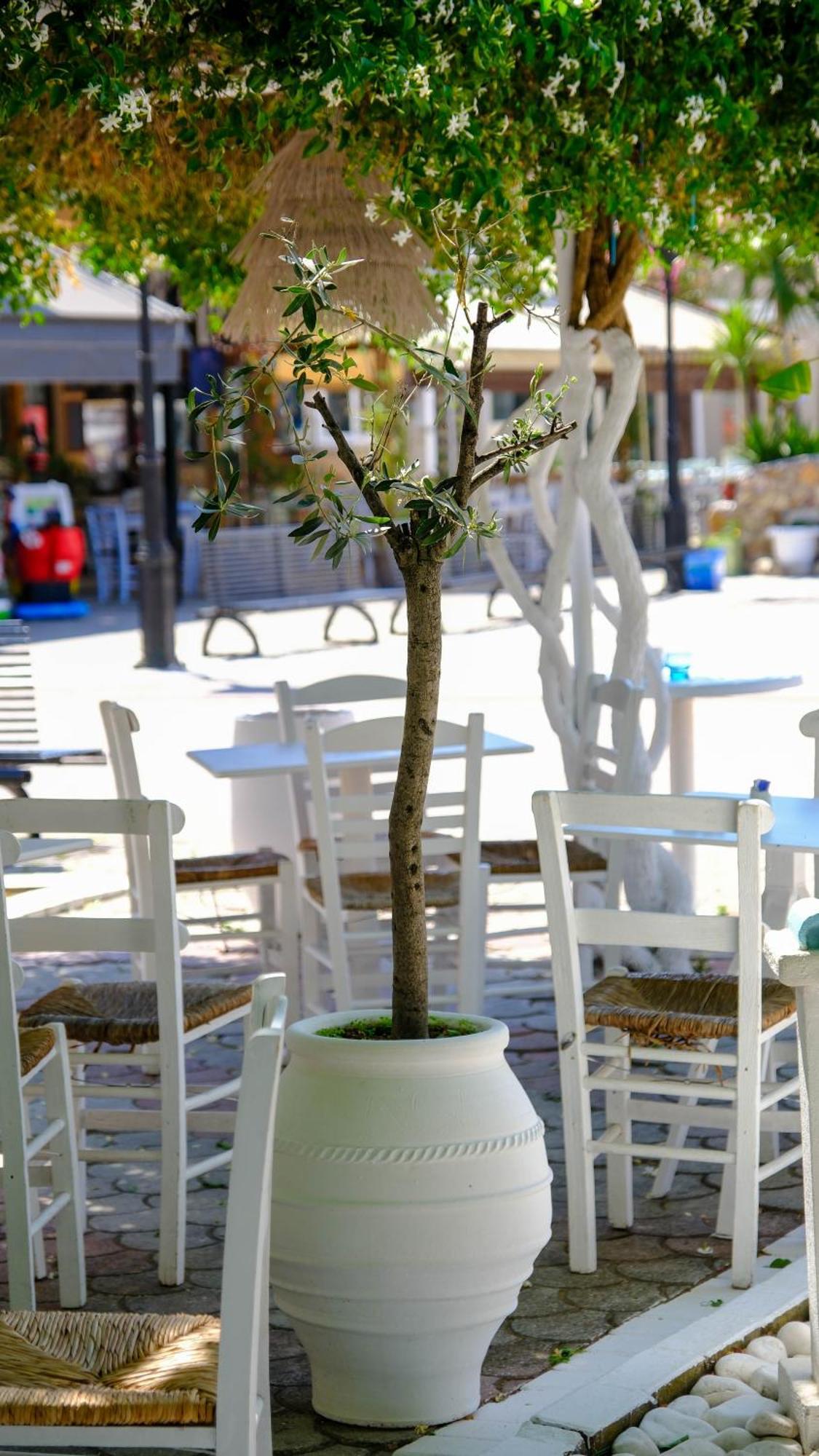 Cocoon Hotel-Beach Bar Sarti Esterno foto