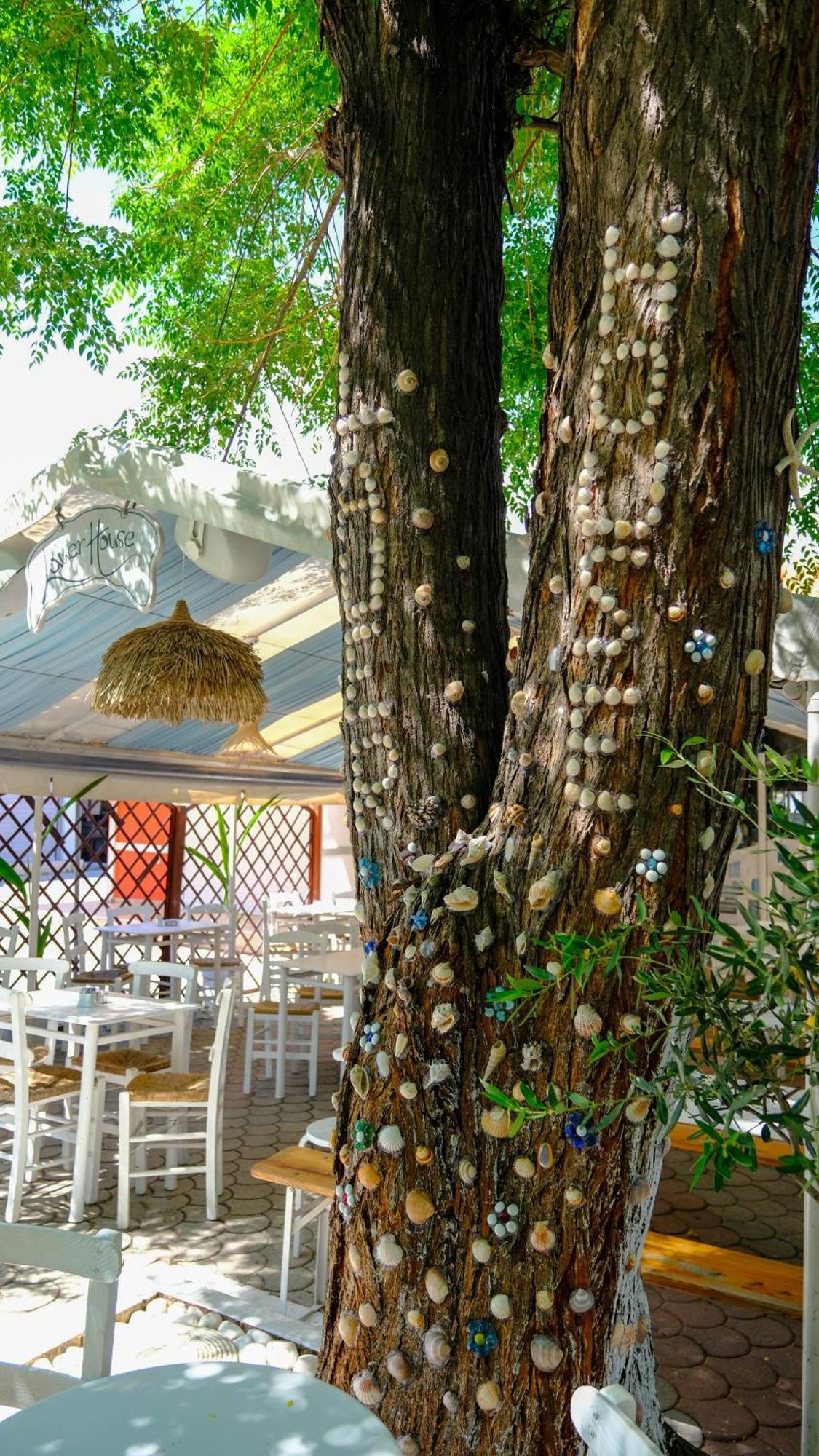 Cocoon Hotel-Beach Bar Sarti Esterno foto