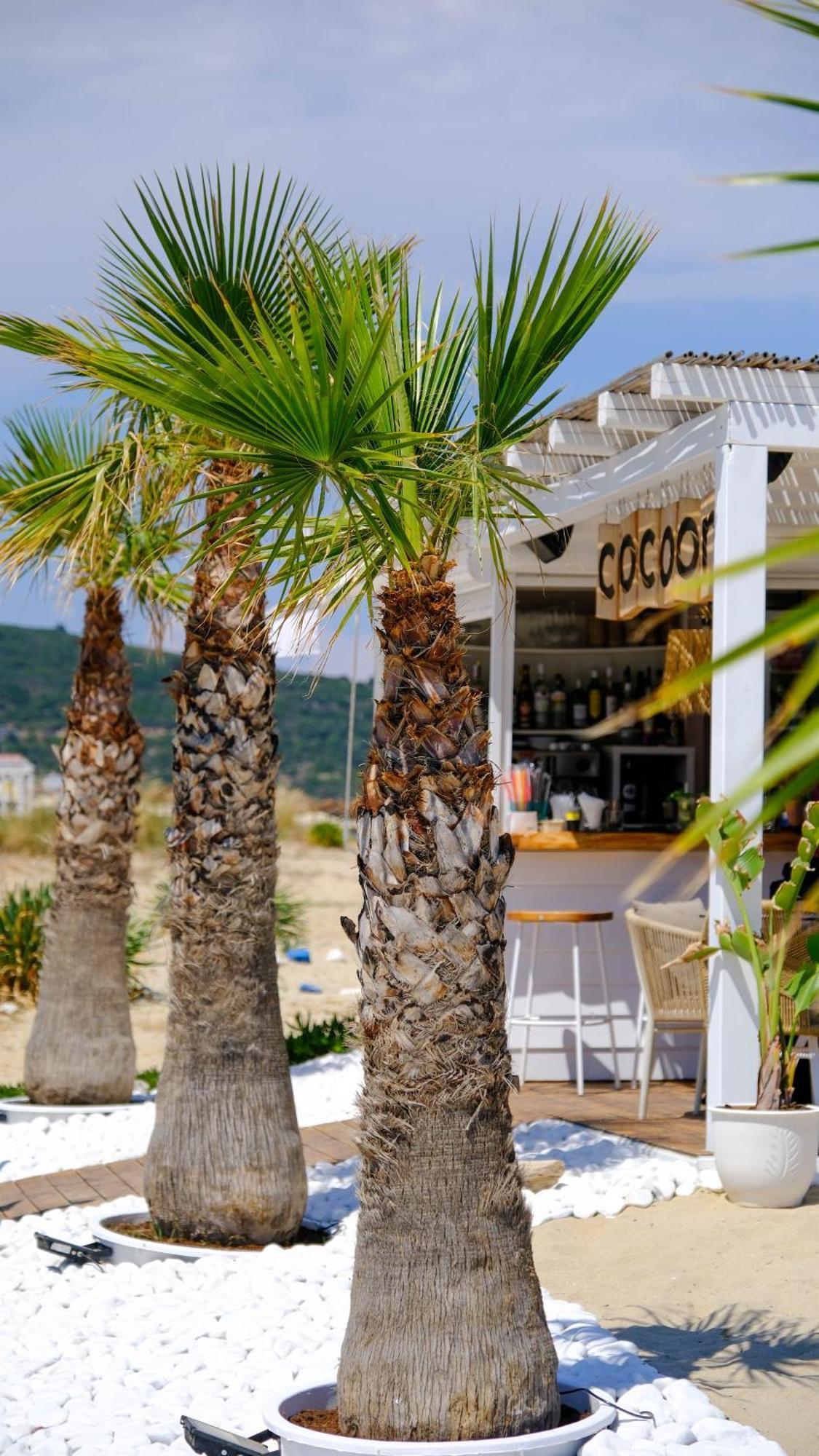Cocoon Hotel-Beach Bar Sarti Esterno foto